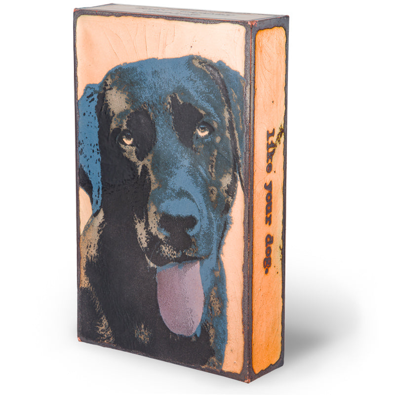 Llewcie 091 (Retired) | Houston Llew Spiritile