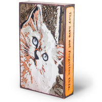 Fluffy 098 (Retired) | Houston Llew Spiritile