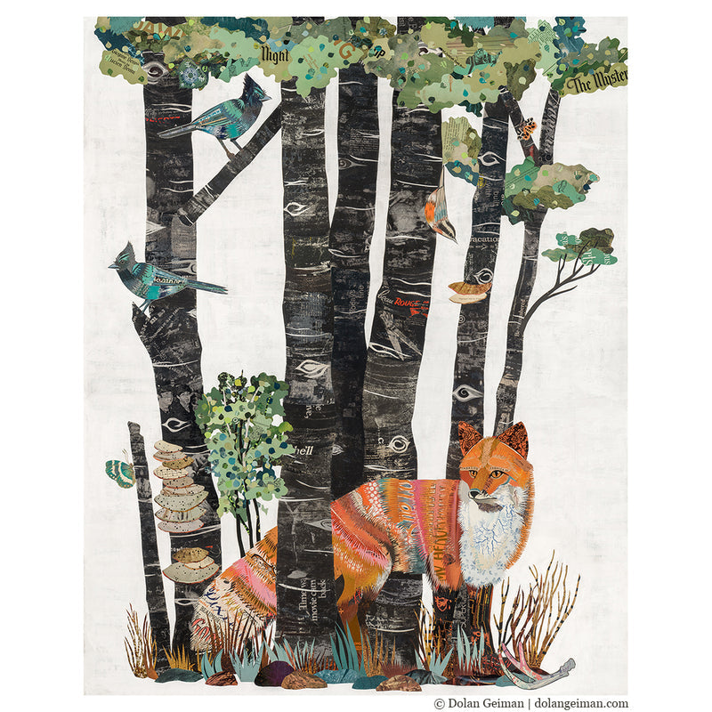 High Country Summer | Archival Print