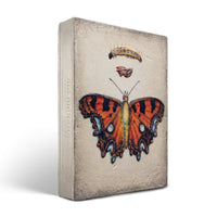 Chrysalis T546 (Retired) | Sid Dickens Memory Block