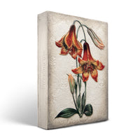 Tiger Lilies T551 (Retired) | Sid Dickens Memory Block