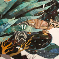 Baja Backcountry Ringtail | Archival Print