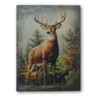 Noble Stag T541 | Sid Dickens Memory Block