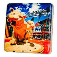 Comerica Park Tiger Coaster - Artisan's Bench