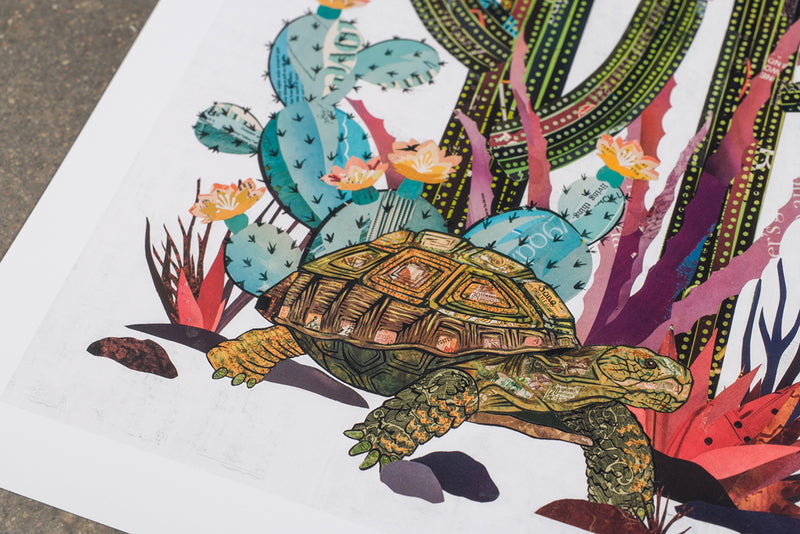 Cactus Country Tortoise | Archival Print