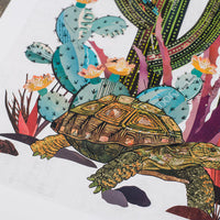 Cactus Country Tortoise | Archival Print