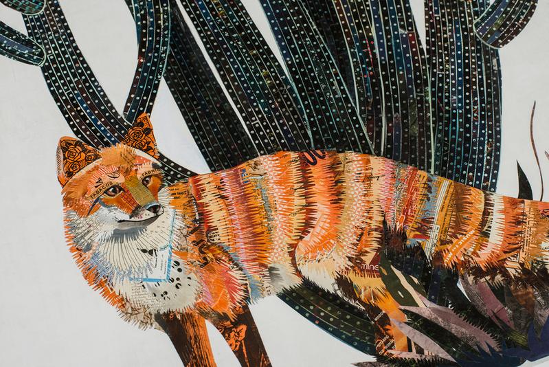 Baja Backcountry Fox | Archival Print