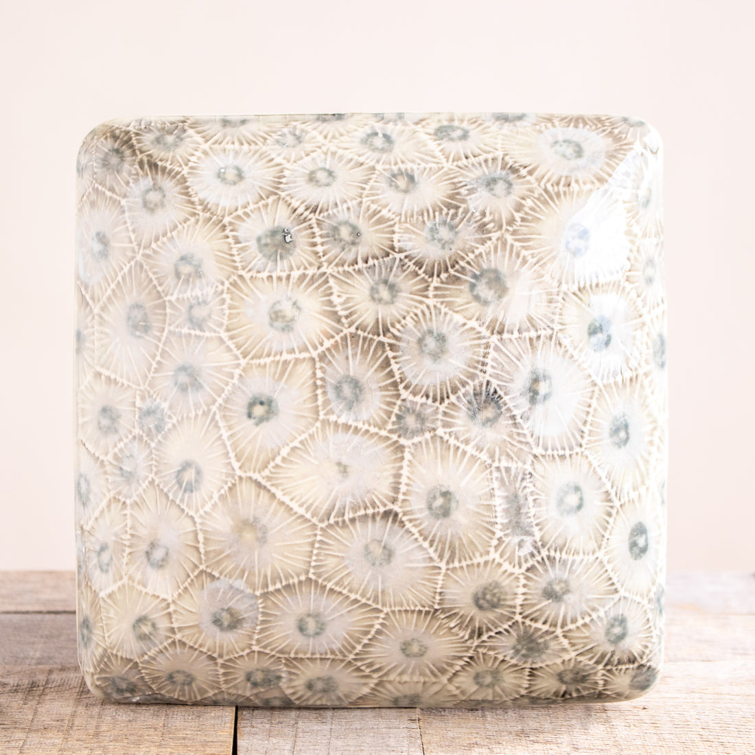 Large Petoskey Stone Element Tile