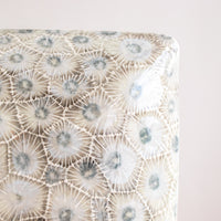 Large Petoskey Stone Element Tile