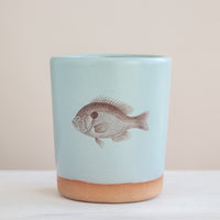 Bluegill Tumbler | Robin's Egg Blue