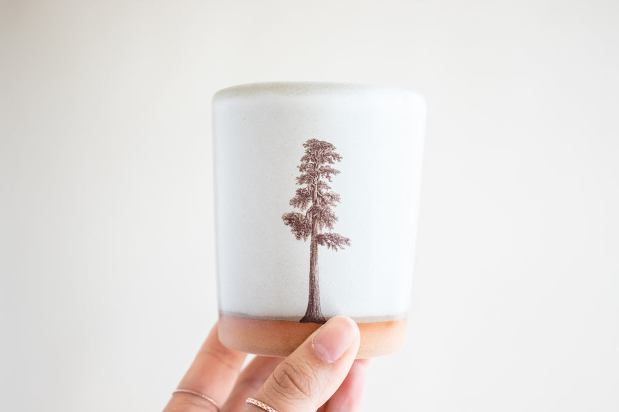 Sequoia Tree Tumbler | Cream