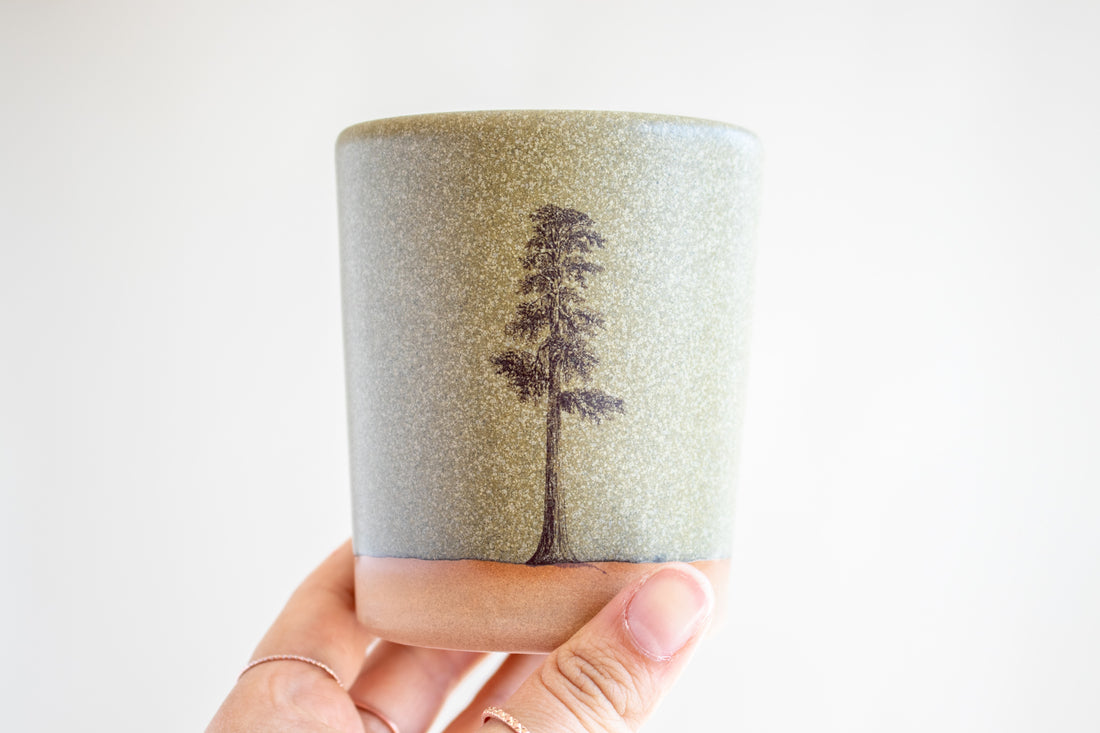Sequoia Tree Tumbler | Green