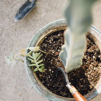 Mini Potting Trowel