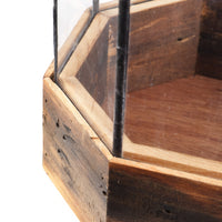 Gazebo Terrarium - Local Pickup Only - Artisan's Bench