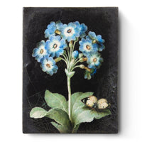 Primrose T425 (Retired) | Sid Dickens Memory Block