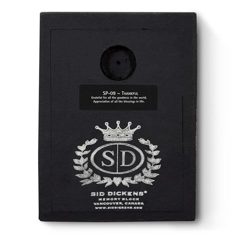 Thankful SP09 | Sid Dickens Memory Block