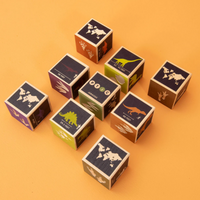 Dinosaur Blocks