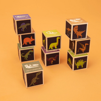 Dinosaur Blocks