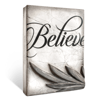 Believe T508 | Sid Dickens Memory Block