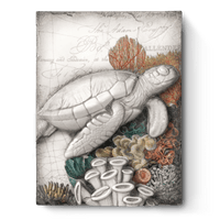 Ancient Wisdom T511 | Sid Dickens Memory Block