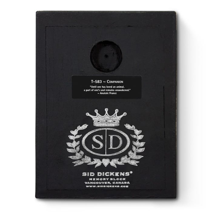 Companion T583 | Sid Dickens Memory Block - FREE SHIPPING – The