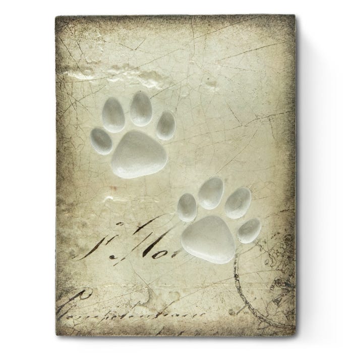 Companion T583 | Sid Dickens Memory Block - FREE SHIPPING – The