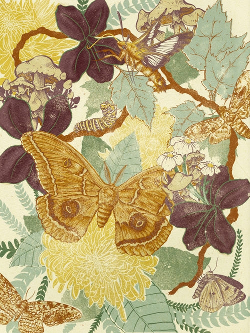 Moth 11x14 | Giclee Print