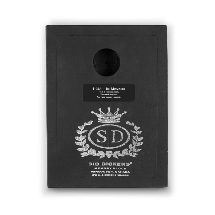 The Messenger T364 | Sid Dickens Memory Block