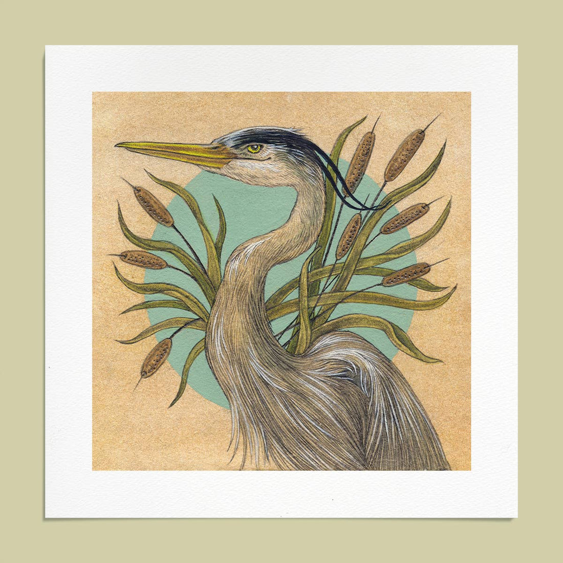 Great Blue Heron 6x6 | Giclee Print
