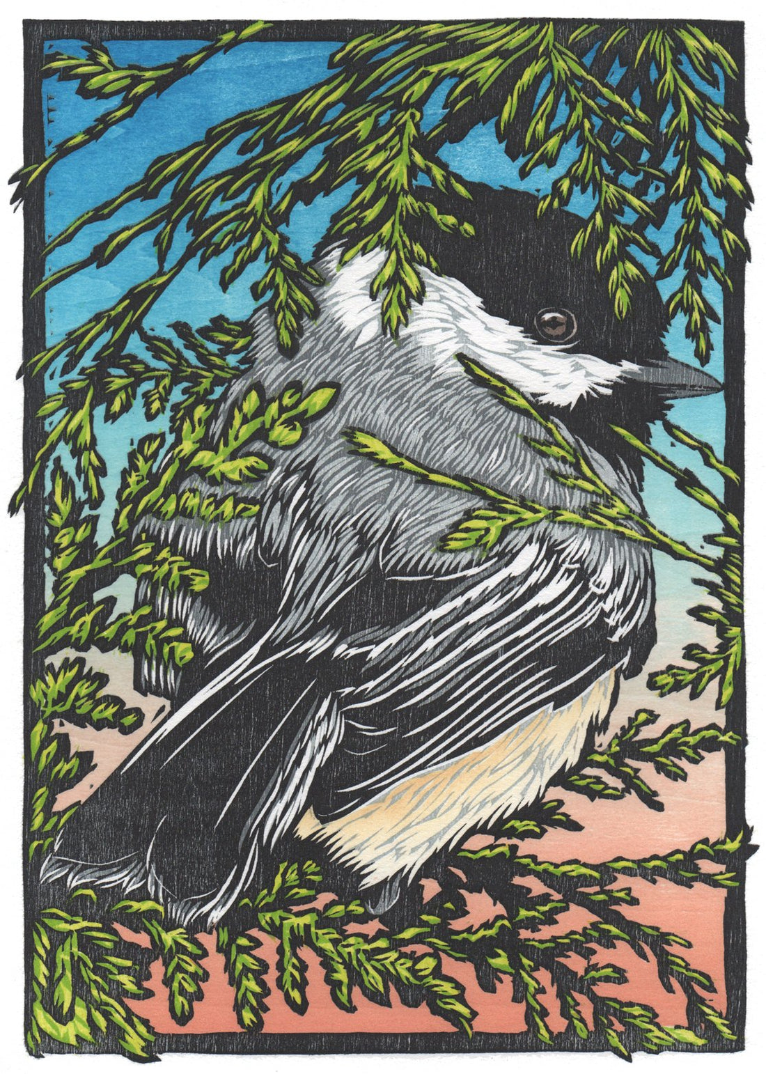 The Agency of Our Birds | 8.5x11