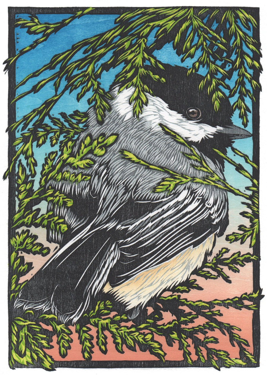 The Agency of Our Birds | 8.5x11