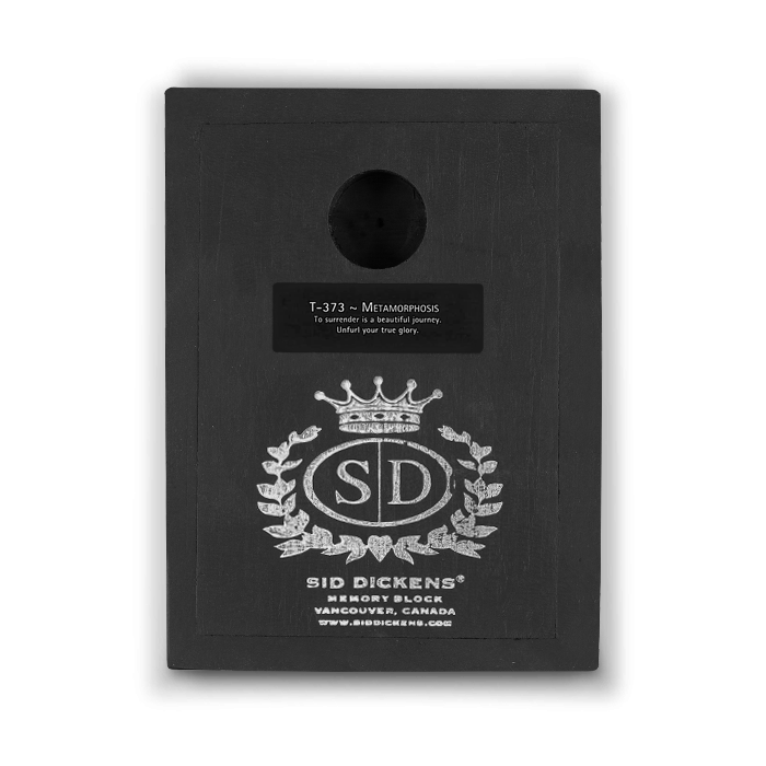 Metamorphosis T373 | Sid Dickens Memory Block