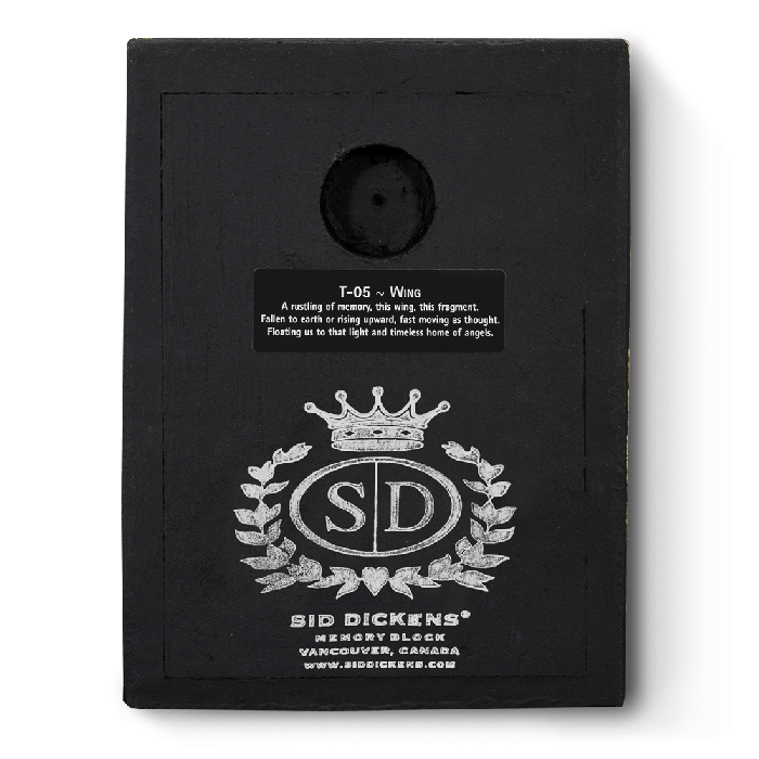 Wing T05 | Sid Dickens Memory Block