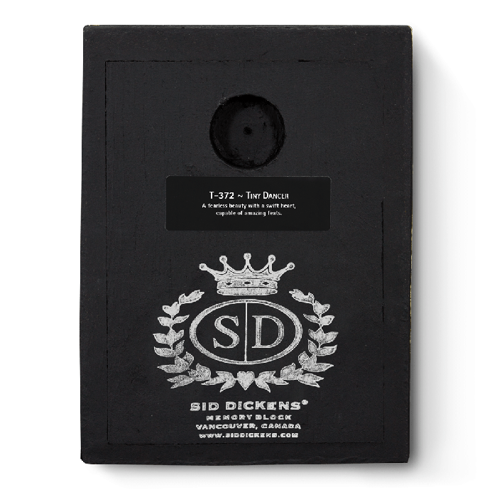 Tiny Dancer T372 | Sid Dickens Memory Block