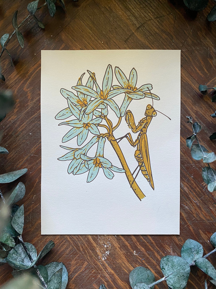 Praying Mantis 6x8 | Giclee Print