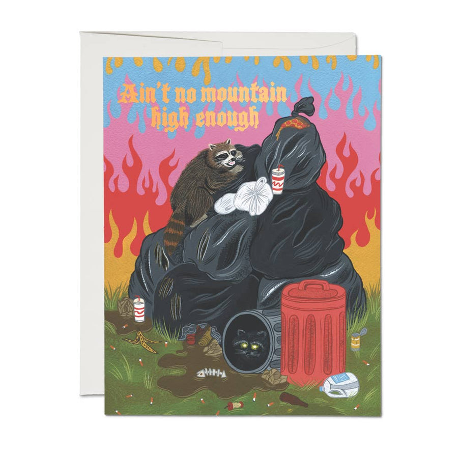 Raccoon Fun Congratulations Card