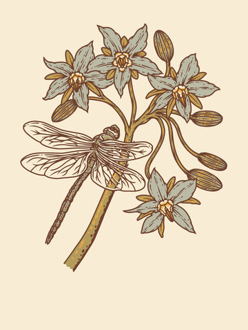 Dragonfly 6x8 | Giclee Print