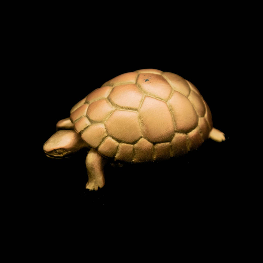 Tortoise Box | Gold