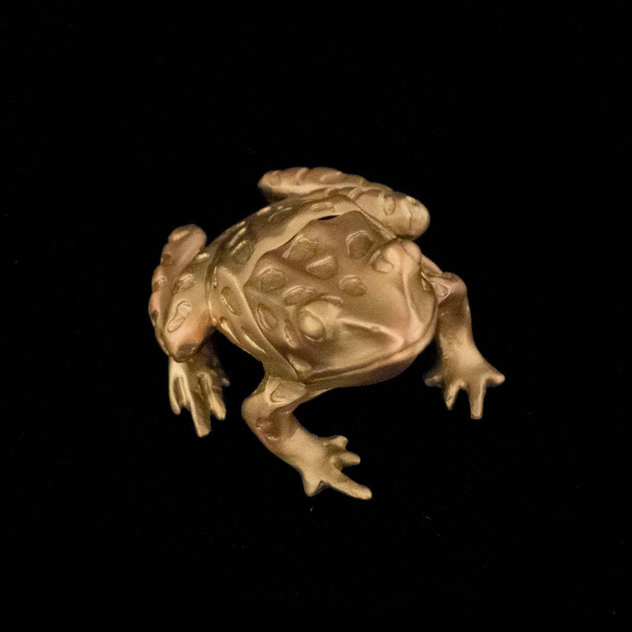 Leopard Frog Box | Gold