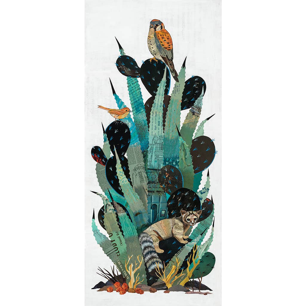 Cactus Country (Ring-Tailed Cat) | Archival Print