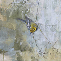Black-throated Green Warbler | 10x8