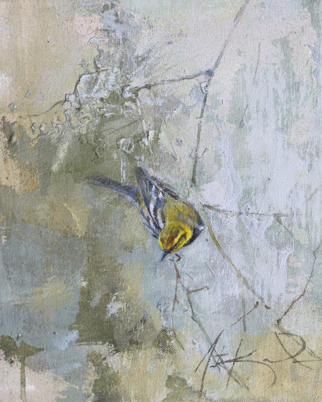 Black-throated Green Warbler | 10x8