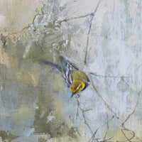 Black-throated Green Warbler | 10x8