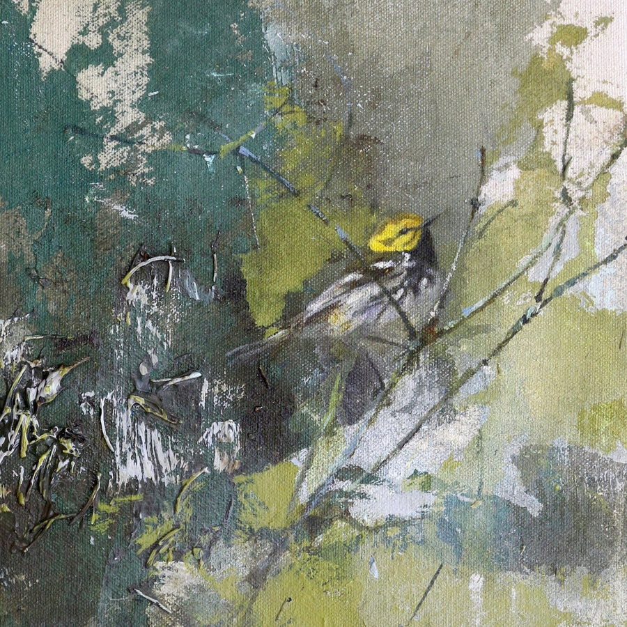 Black-Throated Green Warbler | 16x8