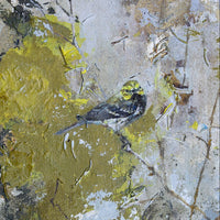 Black-Throated Green Warbler III | 8x16