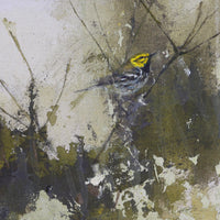Black-Throated Green Warbler | 16x8