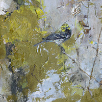 Black-Throated Green Warbler III | 8x16
