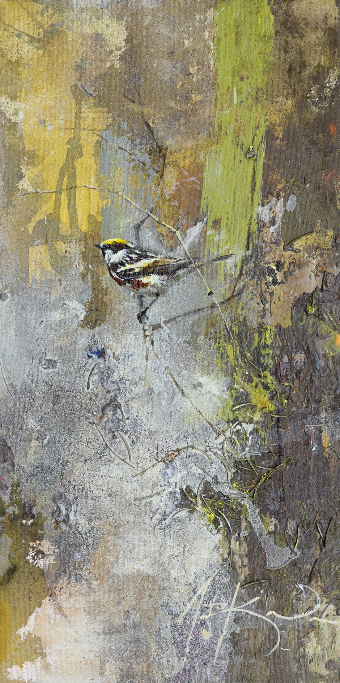 Chestnut-Sided Warbler II | 16x8