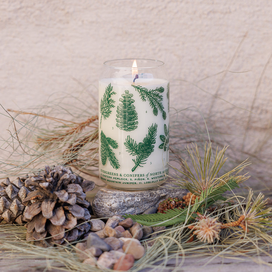 Evergreens & Conifers Candle