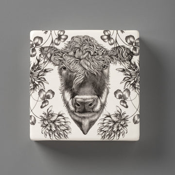Hereford Cow | Wall Box